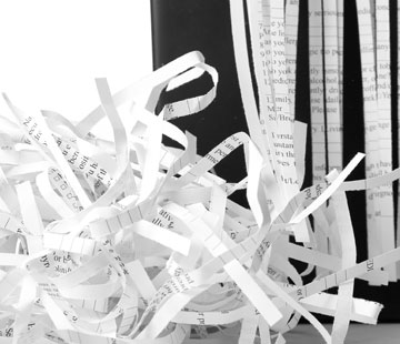 Strips of Destroyed Paper